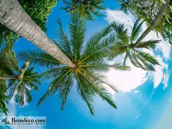 تایل سقفی 60*60 آسمان مجازی بنی دکو مدل LX 5540