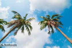 تایل سقفی 60*60 آسمان مجازی بنی دکو مدل LX 5491