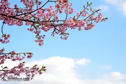 تایل سقفی 60*60 آسمان مجازی بنی دکو مدل LX 5573