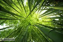 تایل سقفی 60*60 آسمان مجازی بنی دکو مدل LX 5557