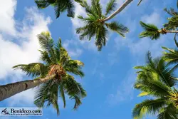 تایل سقفی 60*60 آسمان مجازی بنی دکو مدل LX 5474