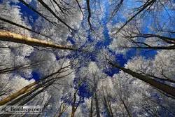 تایل سقفی 60*60 آسمان مجازی بنی دکو مدل LX 5469