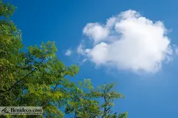 تایل سقفی 60*60 آسمان مجازی بنی دکو مدل LX 5459