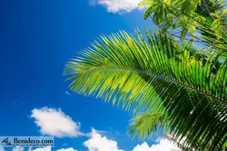 تایل سقفی 60*60 آسمان مجازی بنی دکو مدل LX 5458