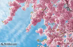 تایل سقفی 60*60 آسمان مجازی بنی دکو مدل LX 5448