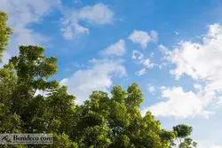 تایل سقفی 60*60 آسمان مجازی بنی دکو مدل LX 5446