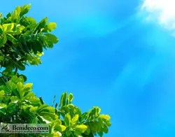 تایل سقفی 60*60 آسمان مجازی بنی دکو مدل LX 5442