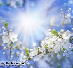 تایل سقفی 60*60 آسمان مجازی بنی دکو مدل LX 5423