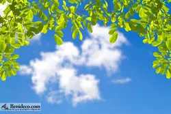 تایل سقفی 60*60 آسمان مجازی بنی دکو مدل LX 5341