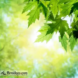 تایل سقفی 60*60 آسمان مجازی بنی دکو مدل LX 5329