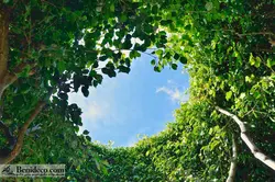 تایل سقفی 60*60 آسمان مجازی بنی دکو مدل LX 5367