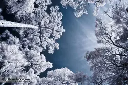 تایل سقفی 60*60 آسمان مجازی بنی دکو مدل LX 5366