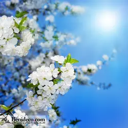 تایل سقفی 60*60 آسمان مجازی بنی دکو مدل LX 5360