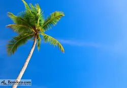 تایل سقفی 60*60 آسمان مجازی بنی دکو مدل LX 5297