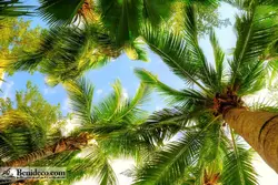 تایل سقفی 60*60 آسمان مجازی بنی دکو مدل LX 5285