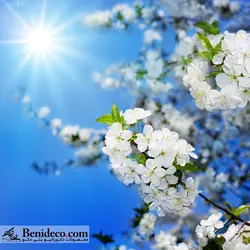 تایل سقفی 60*60 آسمان مجازی بنی دکو مدل LX 5247