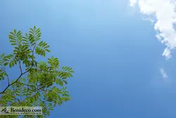 تایل سقفی 60*60 آسمان مجازی بنی دکو مدل LX 5239