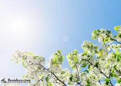 تایل سقفی 60*60 آسمان مجازی بنی دکو مدل LX 5183