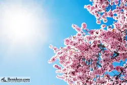 تایل سقفی 60*60 آسمان مجازی بنی دکو مدل LX 5182