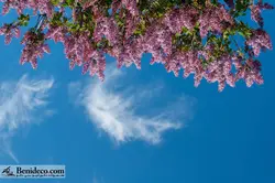 تایل سقفی 60*60 آسمان مجازی بنی دکو مدل LX 5171