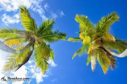 تایل سقفی 60*60 آسمان مجازی بنی دکو مدل LX 5163