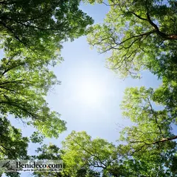 تایل سقفی 60*60 آسمان مجازی بنی دکو مدل LX 5161