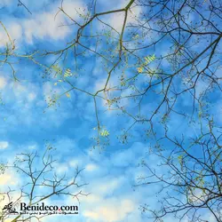 تایل سقفی 60*60 آسمان مجازی بنی دکو مدل LX 5149