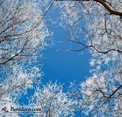 تایل سقفی 60*60 آسمان مجازی بنی دکو مدل LX 5146