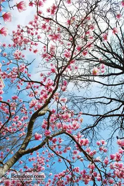 تایل سقفی 60*60 آسمان مجازی بنی دکو مدل LX 5142