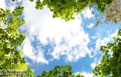 تایل سقفی 60*60 آسمان مجازی بنی دکو مدل LX 5131