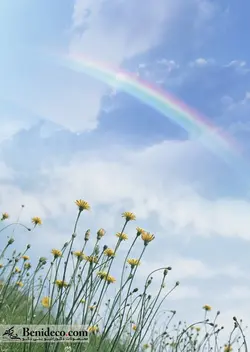 تایل سقفی 60*60 آسمان مجازی بنی دکو مدل LX 5843