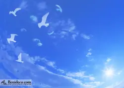 تایل سقفی 60*60 آسمان مجازی بنی دکو مدل LX 5837