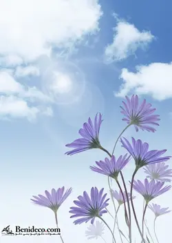 تایل سقفی 60*60 آسمان مجازی بنی دکو مدل LX 5835