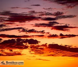 تایل سقفی 60*60 آسمان مجازی بنی دکو مدل LX 5827