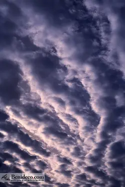 تایل سقفی 60*60 آسمان مجازی بنی دکو مدل LX 5823