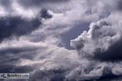 تایل سقفی 60*60 آسمان مجازی بنی دکو مدل LX 5822