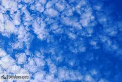 تایل سقفی 60*60 آسمان مجازی بنی دکو مدل LX 5815