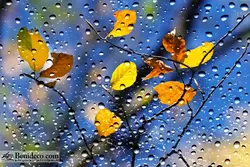 تایل سقفی 60*60 آسمان مجازی بنی دکو مدل LX 5605