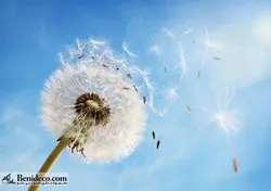 تایل سقفی 60*60 آسمان مجازی بنی دکو مدل LX 5437