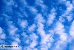 تایل سقفی 60*60 آسمان مجازی بنی دکو مدل LX 5813