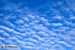 تایل سقفی 60*60 آسمان مجازی بنی دکو مدل LX 5810