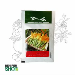 بذر خانگی کدو خورشتی هیبرید آذر سبزینه