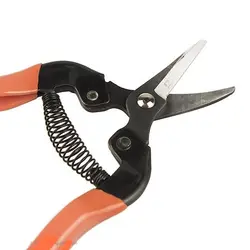قیمت و خرید آنلاین قیچی میوه چین BEHCO بهکو مدل BP - 1651 | بیشه کالا