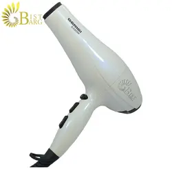 سشوار جیمی مدل GEMEI GM105