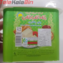 پنیر بلغاری پگاه گلپایگان 400 گرم - تله کالا بین