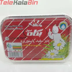 پنیر سفید پاستوریزه پگاه نسبتا چرب 600 گرم - تله کالا بین
