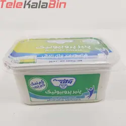 پنیر پروبیوتیک پگاه 400 گرم
