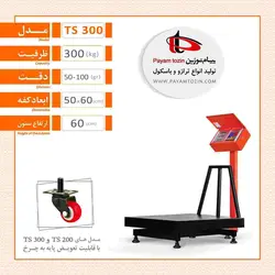 باسکول 300 کیلویی پیام توزین مدل TS 300