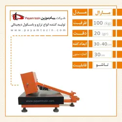 باسکول 100 کیلویی پیام توزین مدل TM100 مارال