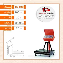 باسکول 100 کیلویی پیام توزین مدل TS100